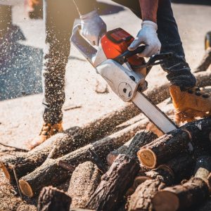 Bäume & Pflanzen bearbeiten