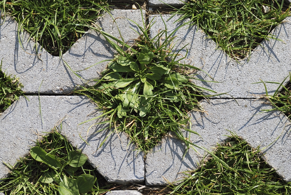 Rasengittersteine, Füllsteine